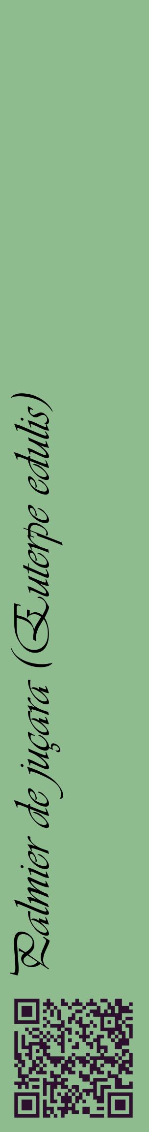 Étiquette de : Euterpe edulis - format c - style noire13_basiqueviv avec qrcode et comestibilité