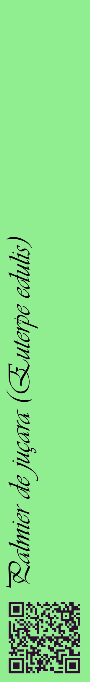 Étiquette de : Euterpe edulis - format c - style noire15_basiqueviv avec qrcode et comestibilité