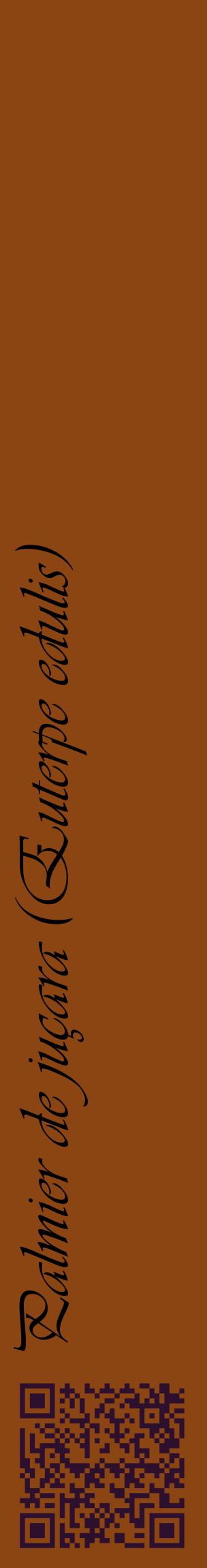 Étiquette de : Euterpe edulis - format c - style noire30_basiqueviv avec qrcode et comestibilité