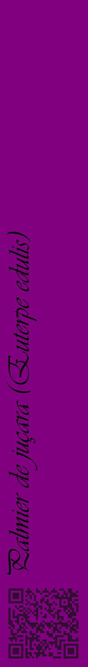 Étiquette de : Euterpe edulis - format c - style noire46_basiqueviv avec qrcode et comestibilité