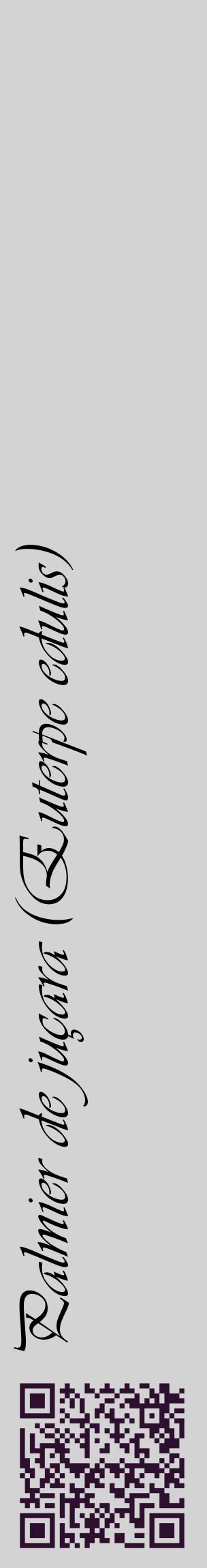 Étiquette de : Euterpe edulis - format c - style noire56_basiqueviv avec qrcode et comestibilité