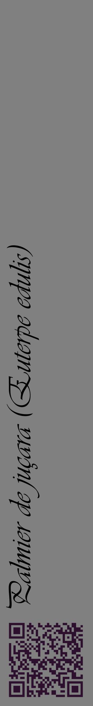 Étiquette de : Euterpe edulis - format c - style noire57_basiqueviv avec qrcode et comestibilité