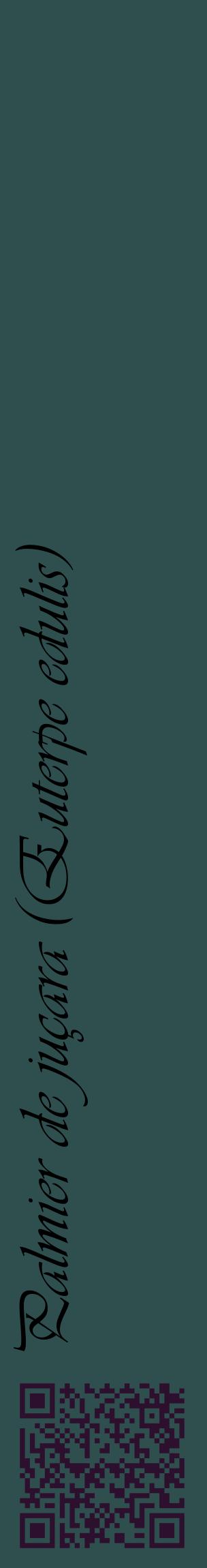 Étiquette de : Euterpe edulis - format c - style noire58_basiqueviv avec qrcode et comestibilité