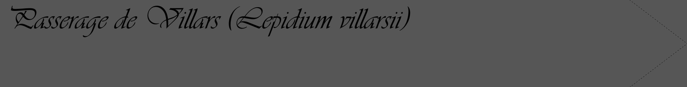 Étiquette de : Lepidium villarsii - format c - style noire45_simple_simpleviv avec comestibilité