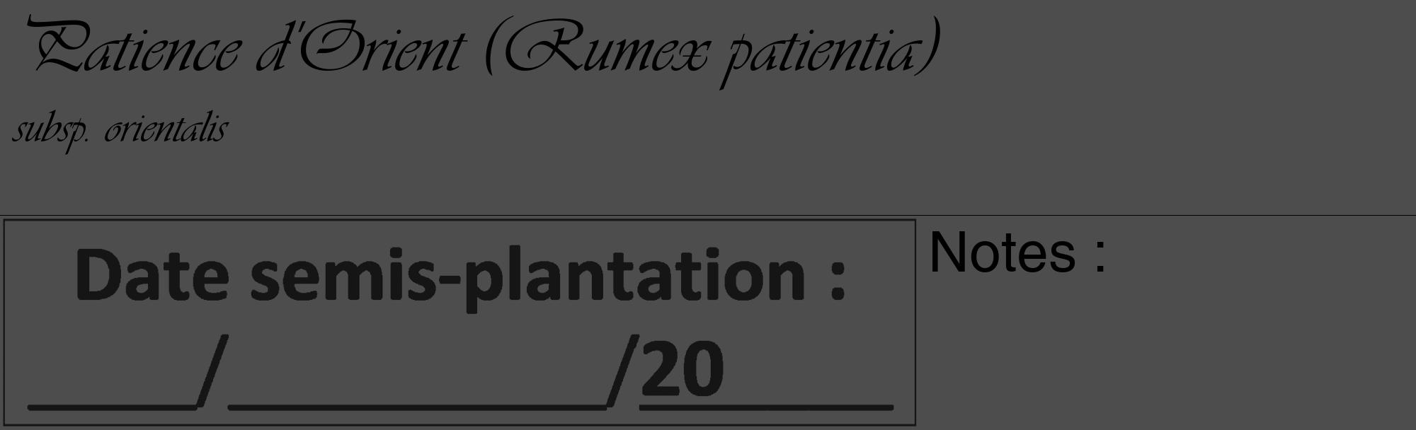 Étiquette de : Rumex patientia subsp. orientalis - format c - style noire28_basique_basiqueviv avec comestibilité