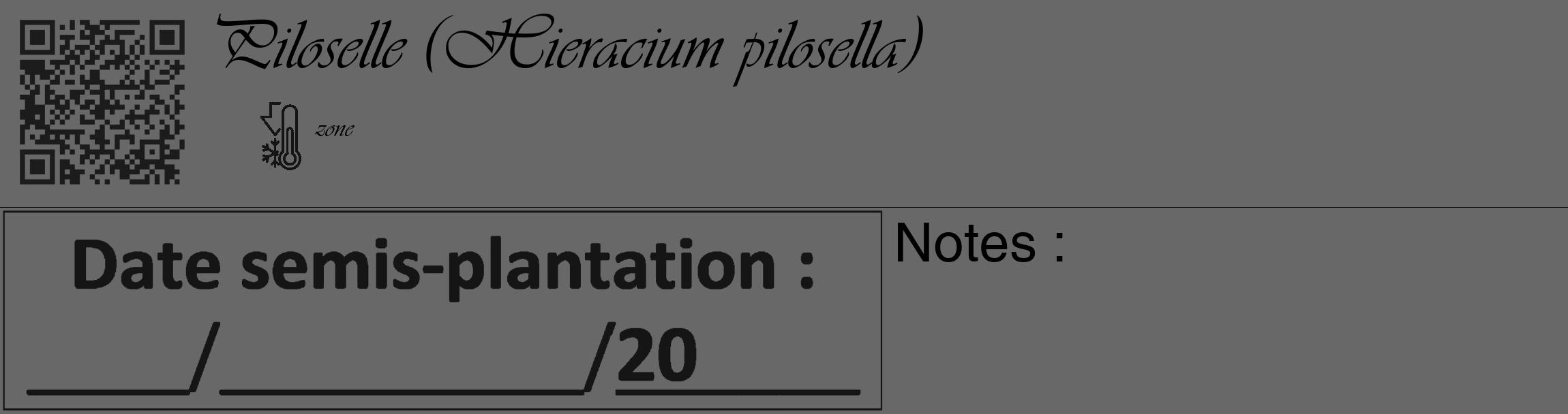 Étiquette de : Hieracium pilosella - format c - style noire6_basique_basiqueviv avec qrcode et comestibilité