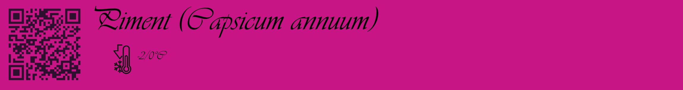Étiquette de : Capsicum annuum - format c - style noire45_basique_basiqueviv avec qrcode et comestibilité