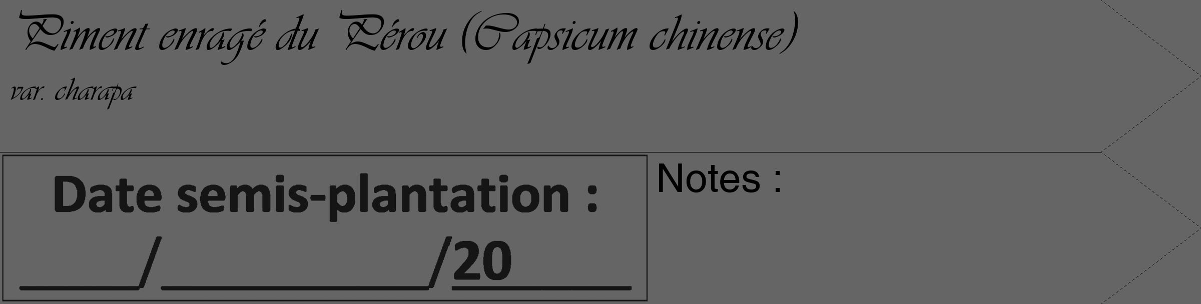 Étiquette de : Capsicum chinense var. charapa - format c - style noire32_simple_simpleviv avec comestibilité