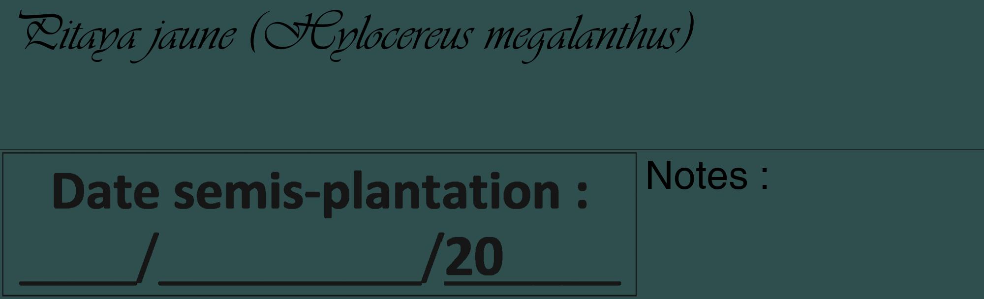 Étiquette de : Hylocereus megalanthus - format c - style noire58_basique_basiqueviv avec comestibilité