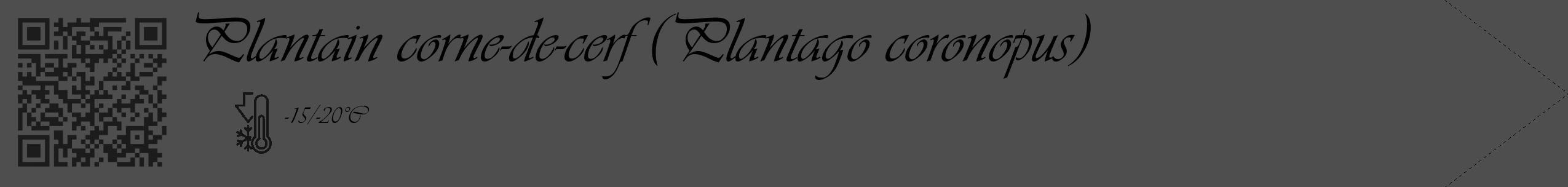 Étiquette de : Plantago coronopus - format c - style noire33_simple_simpleviv avec qrcode et comestibilité