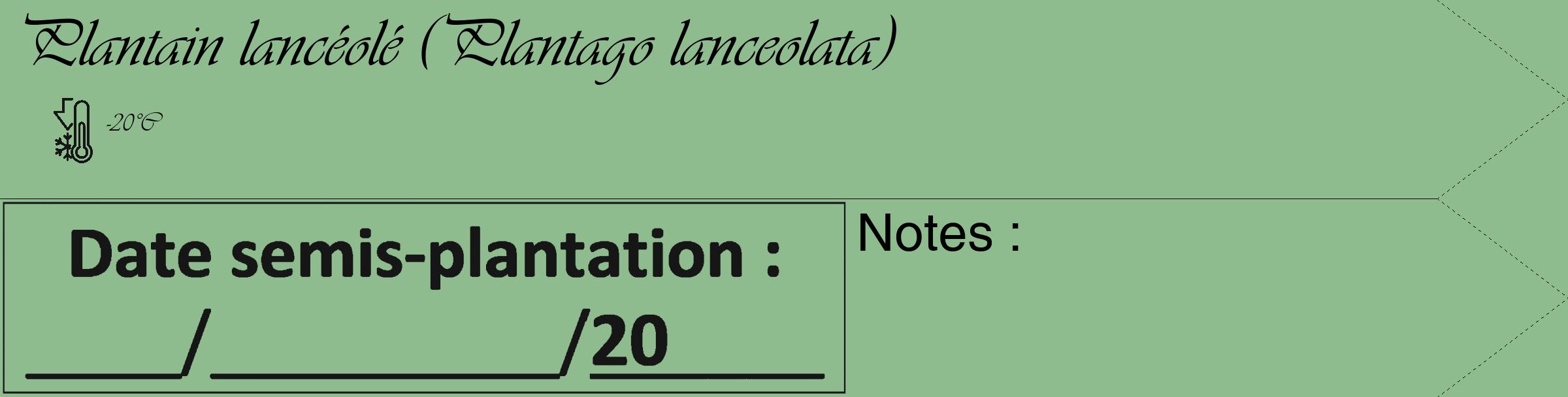 Étiquette de : Plantago lanceolata - format c - style noire13_simple_simpleviv avec comestibilité