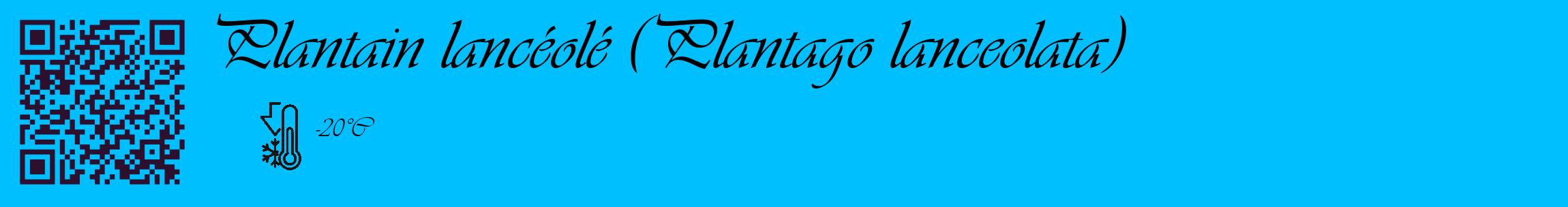 Étiquette de : Plantago lanceolata - format c - style noire2_basique_basiqueviv avec qrcode et comestibilité