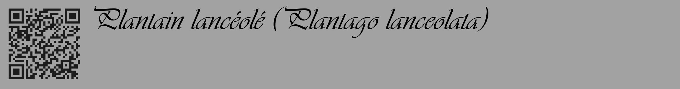 Étiquette de : Plantago lanceolata - format c - style noire38_basique_basiqueviv avec qrcode et comestibilité