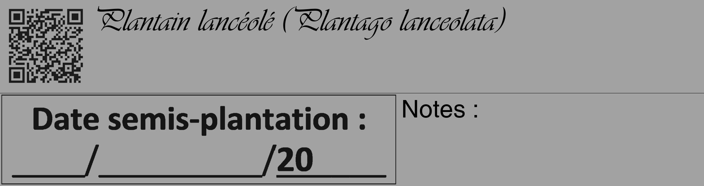 Étiquette de : Plantago lanceolata - format c - style noire38_basique_basiqueviv avec qrcode et comestibilité