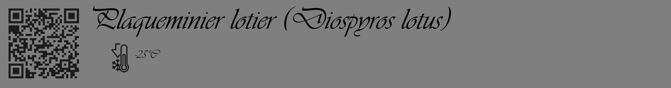 Étiquette de : Diospyros lotus - format c - style noire31_basique_basiqueviv avec qrcode et comestibilité