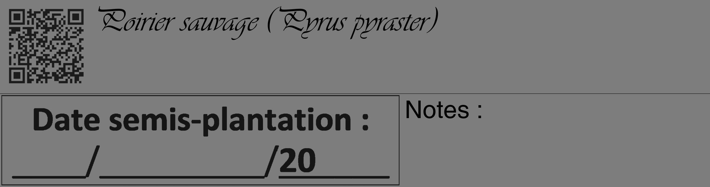 Étiquette de : Pyrus pyraster - format c - style noire35_basique_basiqueviv avec qrcode et comestibilité