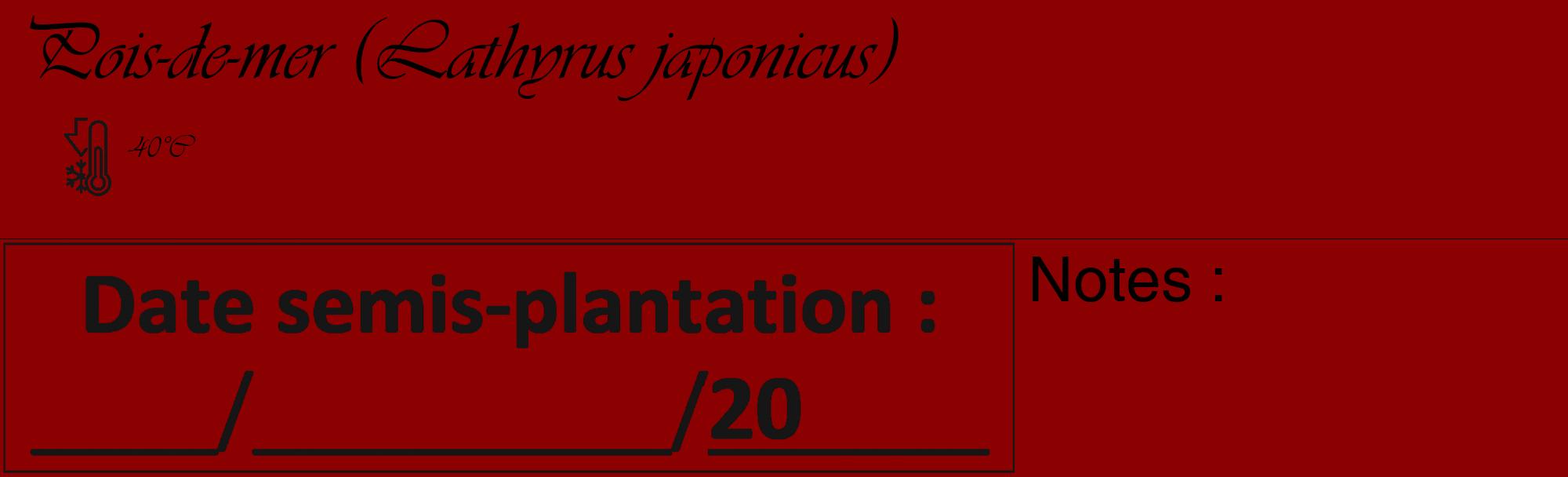 Étiquette de : Lathyrus japonicus - format c - style noire34_basique_basiqueviv avec comestibilité