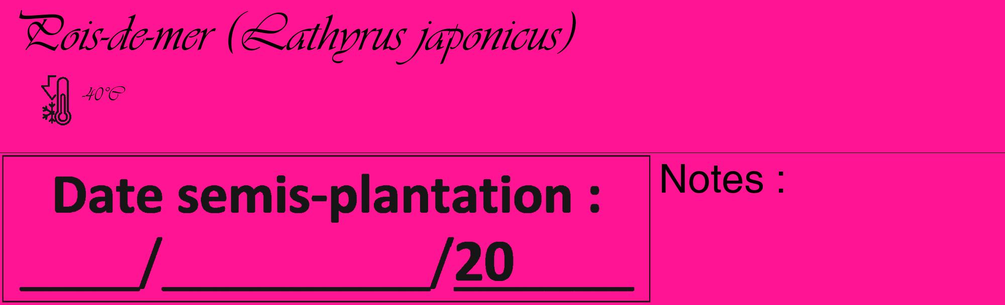 Étiquette de : Lathyrus japonicus - format c - style noire43_basique_basiqueviv avec comestibilité