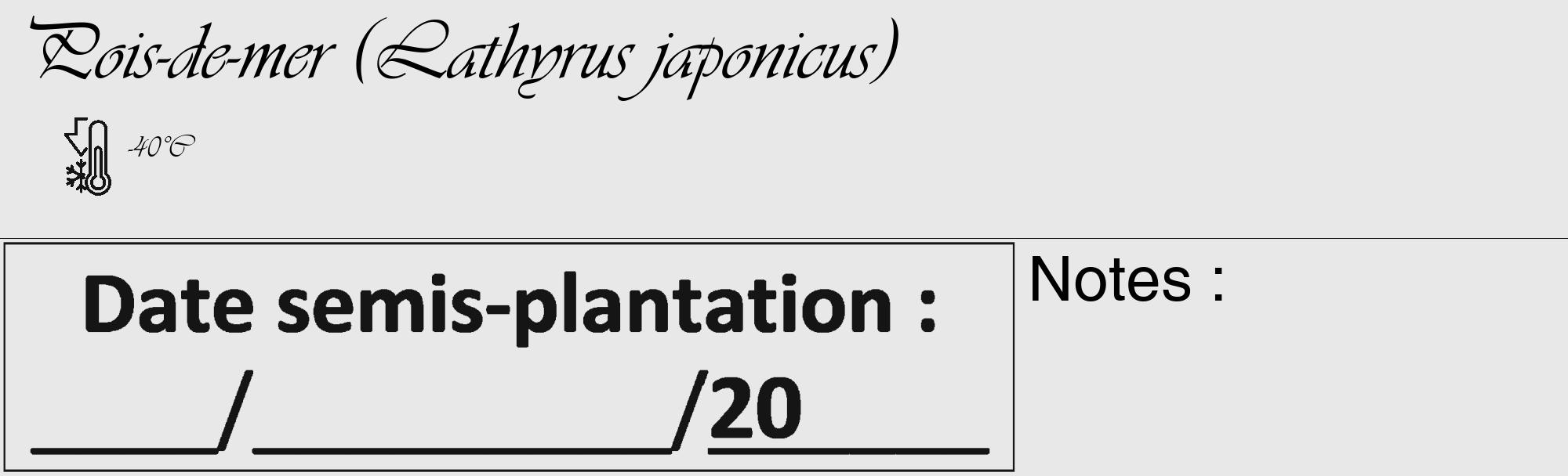 Étiquette de : Lathyrus japonicus - format c - style noire55_basique_basiqueviv avec comestibilité
