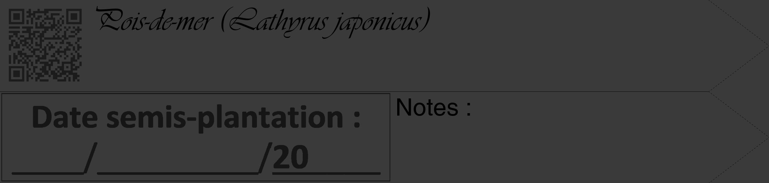 Étiquette de : Lathyrus japonicus - format c - style noire8_simple_simpleviv avec qrcode et comestibilité
