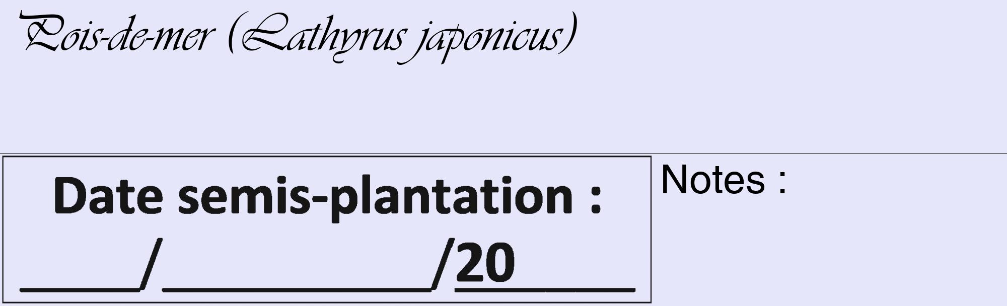Étiquette de : Lathyrus japonicus - format c - style noire55_basique_basiqueviv avec comestibilité