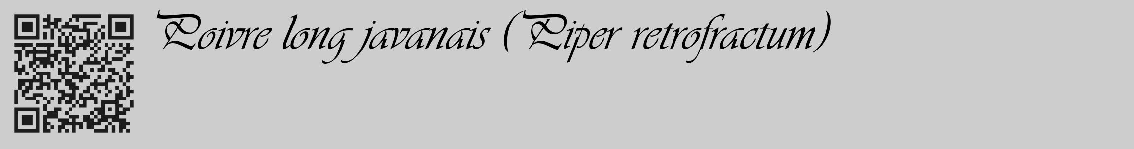 Étiquette de : Piper retrofractum - format c - style noire41_basique_basiqueviv avec qrcode et comestibilité