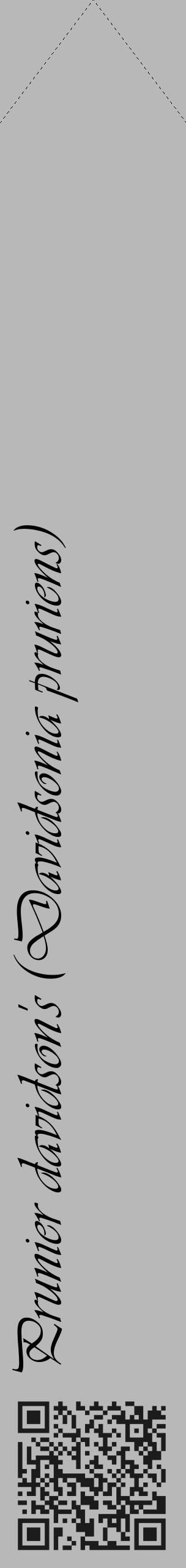 Étiquette de : Davidsonia pruriens - format c - style noire39_simple_simpleviv avec qrcode et comestibilité - position verticale