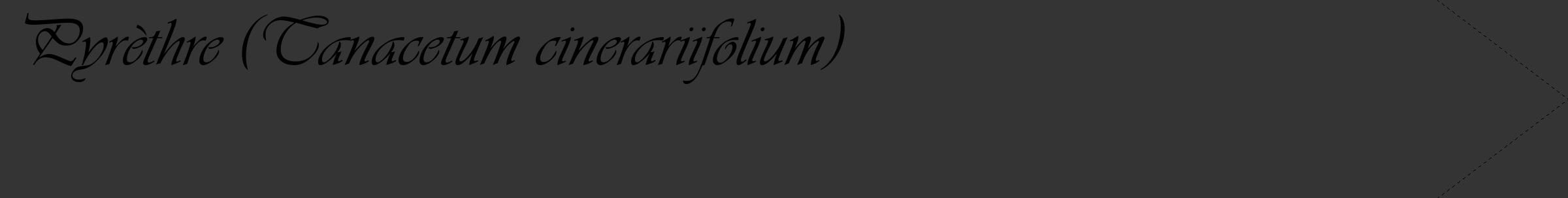 Étiquette de : Tanacetum cinerariifolium - format c - style noire46_simple_simpleviv avec comestibilité