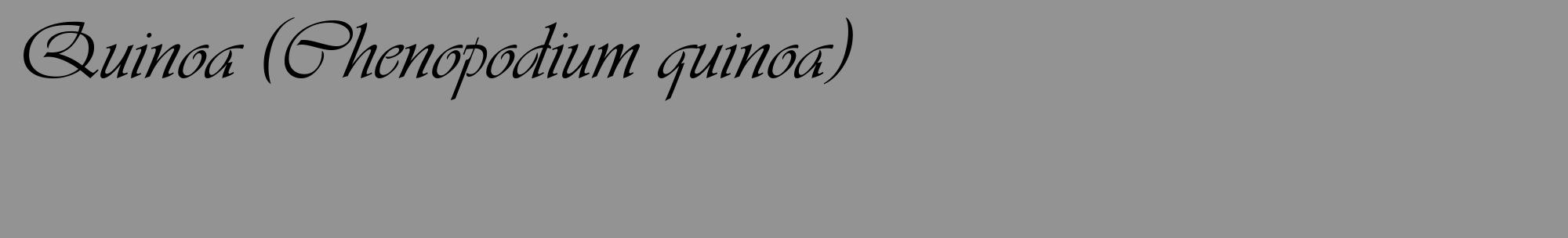 Étiquette de : Chenopodium quinoa - format c - style noire44_basique_basiqueviv avec comestibilité