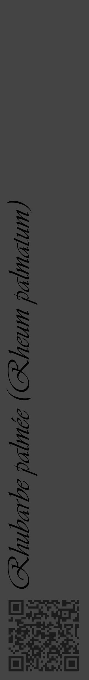 Étiquette de : Rheum palmatum - format c - style noire48_basique_basiqueviv avec qrcode et comestibilité - position verticale