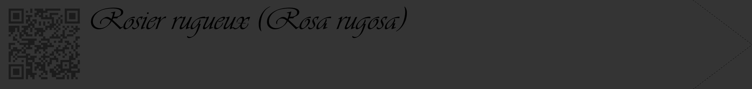 Étiquette de : Rosa rugosa - format c - style noire46_simple_simpleviv avec qrcode et comestibilité