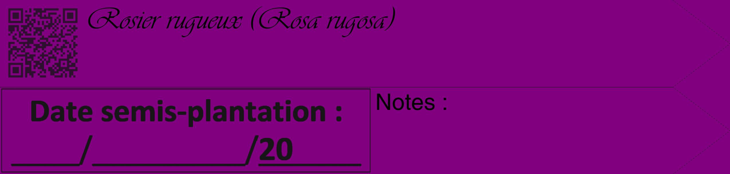 Étiquette de : Rosa rugosa - format c - style noire46_simple_simpleviv avec qrcode et comestibilité