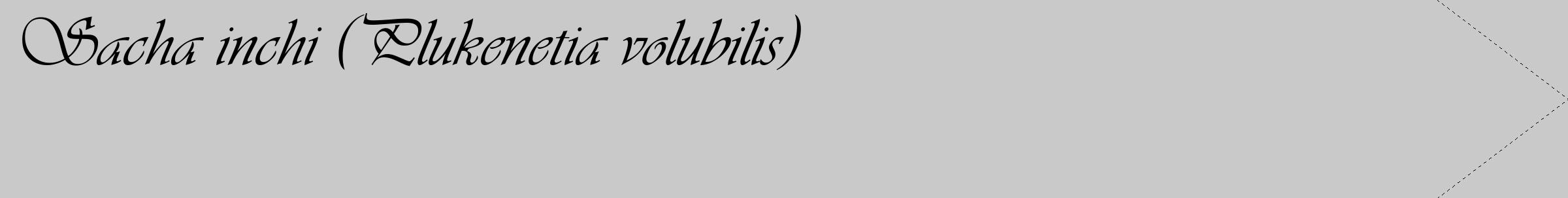 Étiquette de : Plukenetia volubilis - format c - style noire54_simple_simpleviv avec comestibilité