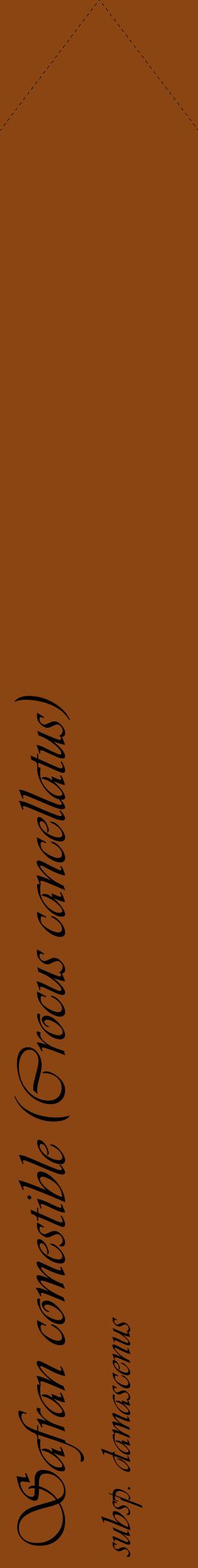 Étiquette de : Crocus cancellatus subsp. damascenus - format c - style noire30_simpleviv avec comestibilité