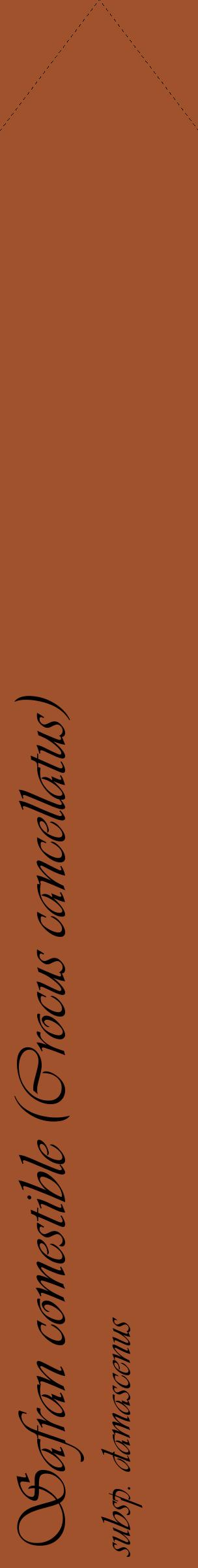 Étiquette de : Crocus cancellatus subsp. damascenus - format c - style noire32_simpleviv avec comestibilité