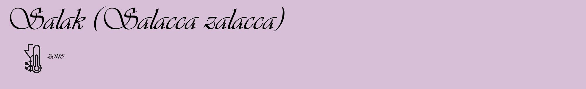 Étiquette de : Salacca zalacca - format c - style noire54_basique_basiqueviv avec comestibilité