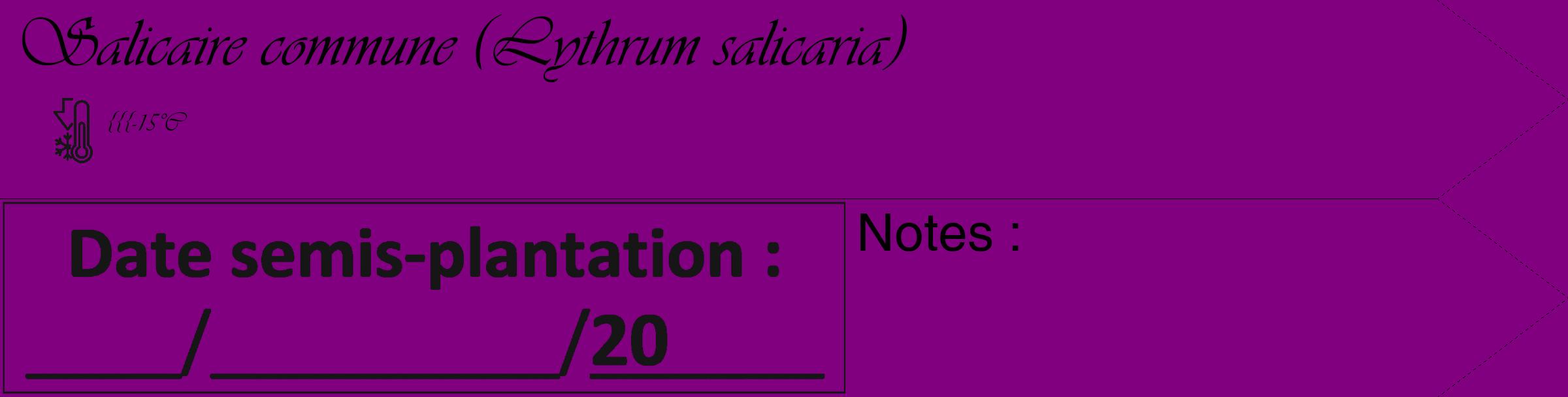 Étiquette de : Lythrum salicaria - format c - style noire46_simple_simpleviv avec comestibilité