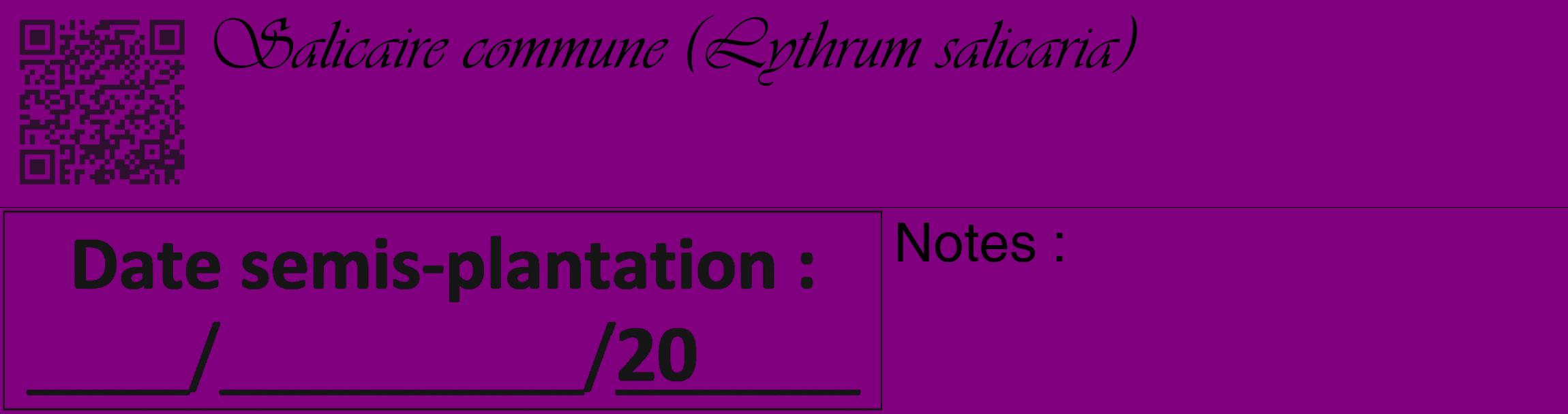 Étiquette de : Lythrum salicaria - format c - style noire46_basique_basiqueviv avec qrcode et comestibilité