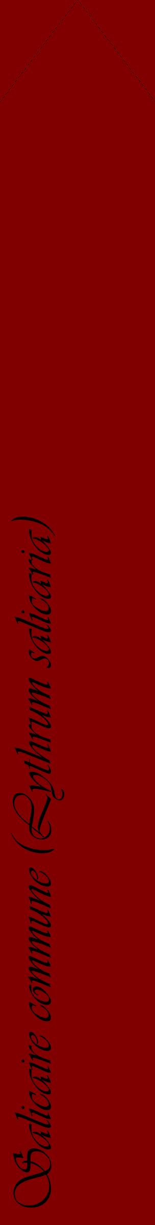 Étiquette de : Lythrum salicaria - format c - style noire29_simpleviv avec comestibilité