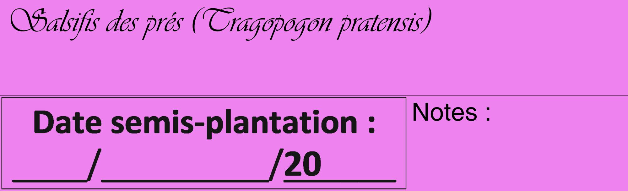 Étiquette de : Tragopogon pratensis - format c - style noire53_basique_basiqueviv avec comestibilité