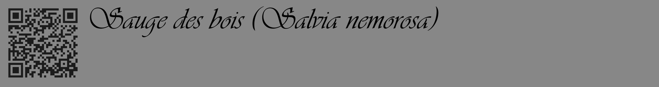 Étiquette de : Salvia nemorosa - format c - style noire12_basique_basiqueviv avec qrcode et comestibilité