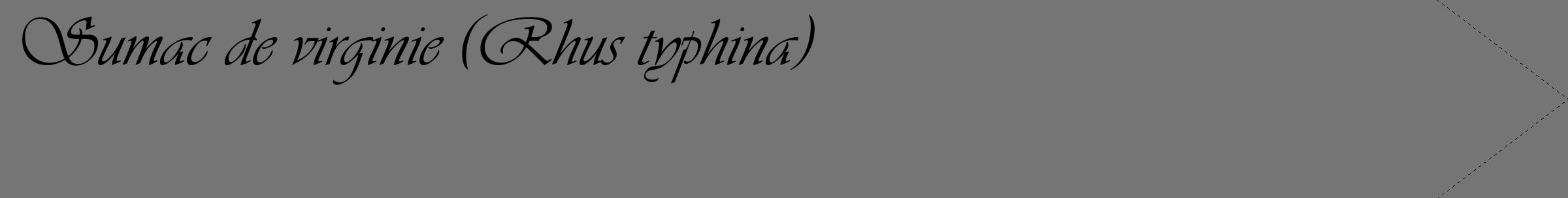 Étiquette de : Rhus typhina - format c - style noire5_simple_simpleviv avec comestibilité
