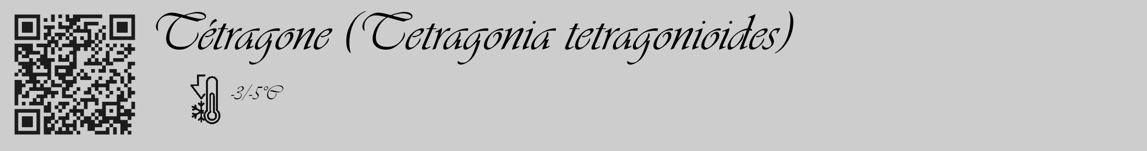 Étiquette de : Tetragonia tetragonioides - format c - style noire41_basique_basiqueviv avec qrcode et comestibilité