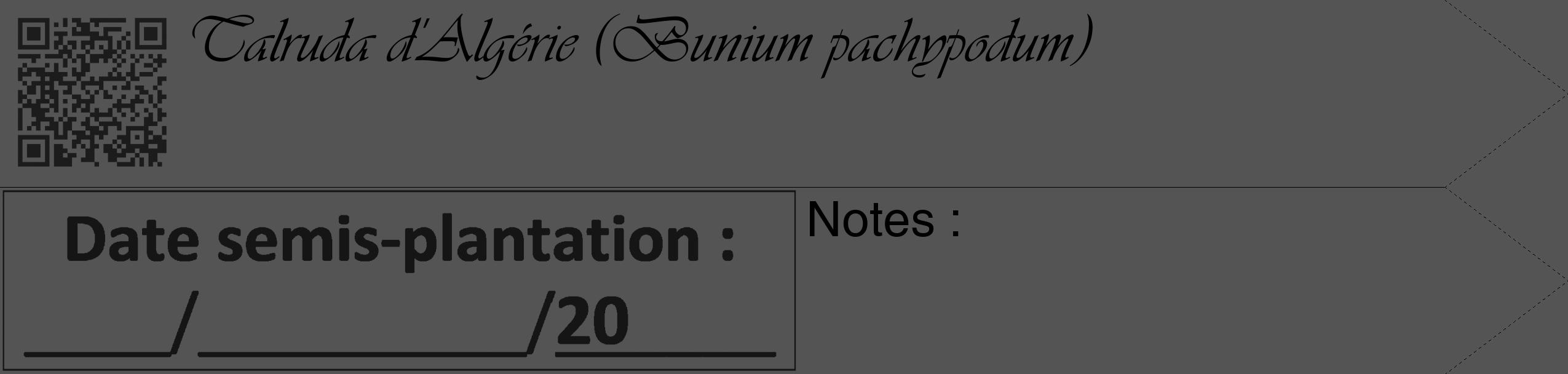 Étiquette de : Bunium pachypodum - format c - style noire30_simple_simpleviv avec qrcode et comestibilité