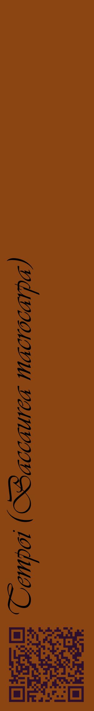 Étiquette de : Baccaurea macrocarpa - format c - style noire30_basiqueviv avec qrcode et comestibilité