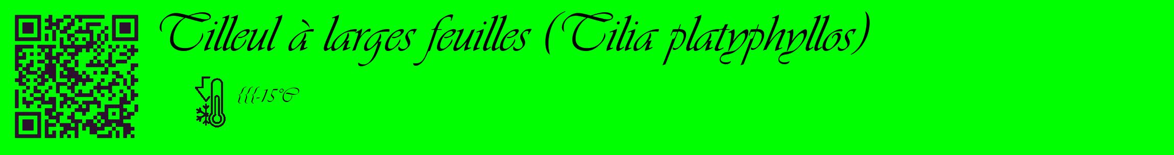 Étiquette de : Tilia platyphyllos - format c - style noire16_basique_basiqueviv avec qrcode et comestibilité