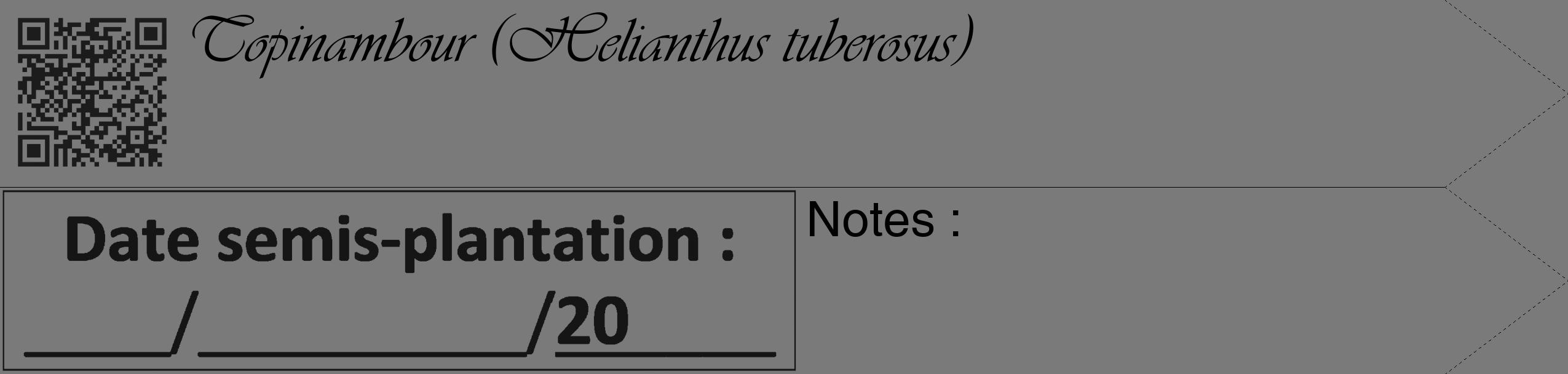 Étiquette de : Helianthus tuberosus - format c - style noire3_simple_simpleviv avec qrcode et comestibilité