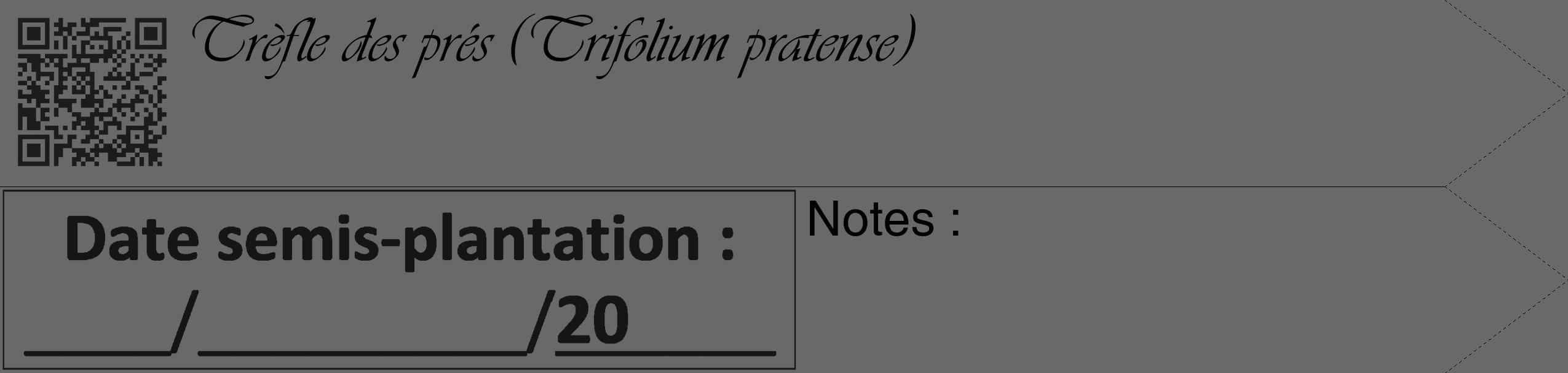 Étiquette de : Trifolium pratense - format c - style noire51_simple_simpleviv avec qrcode et comestibilité