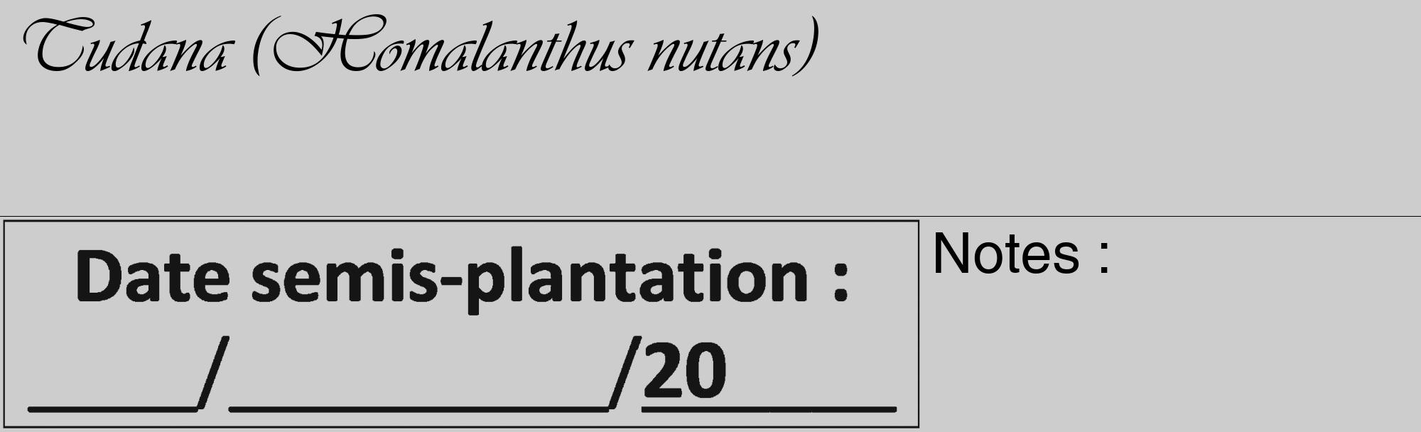 Étiquette de : Homalanthus nutans - format c - style noire41_basique_basiqueviv avec comestibilité