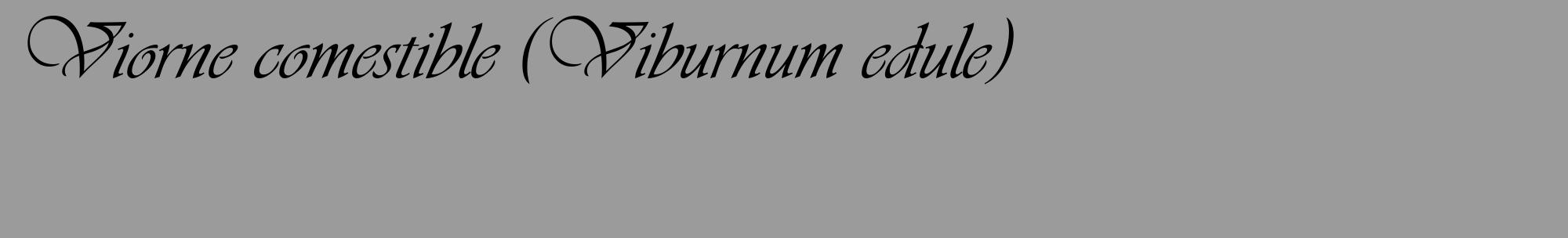 Étiquette de : Viburnum edule - format c - style noire52_basique_basiqueviv avec comestibilité